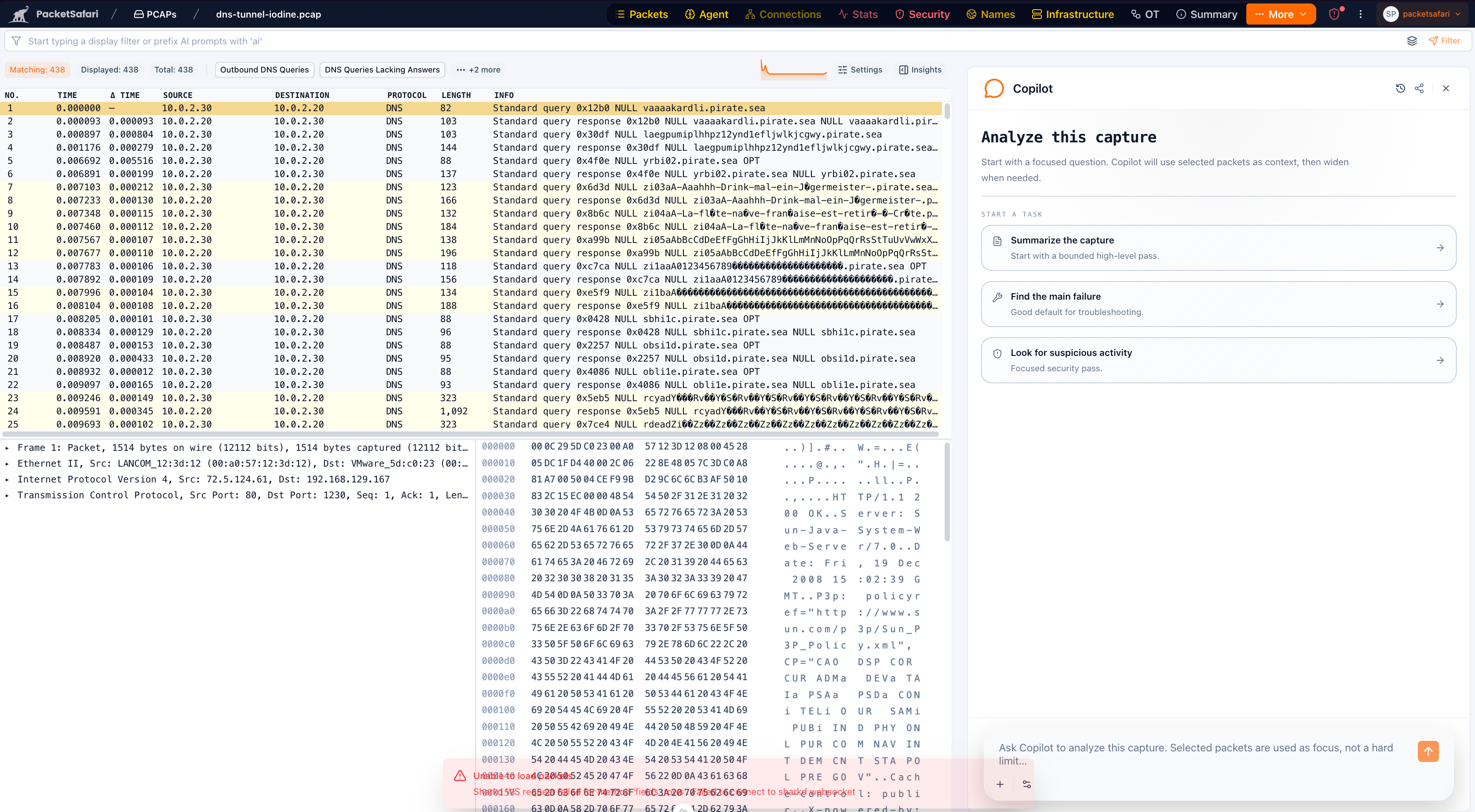 PacketSafari Copilot in the analyzer